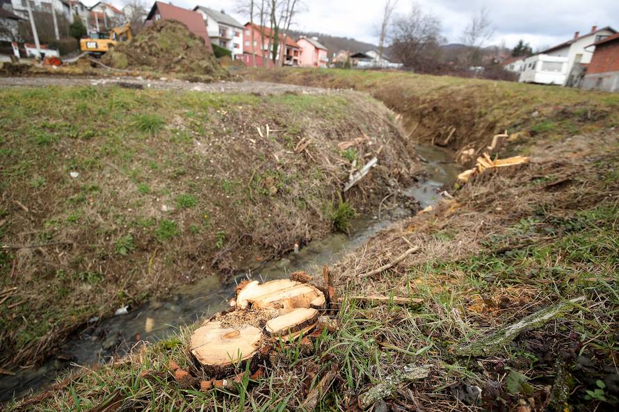 Ne dam Hrvatskim vodama da unište moj vrt, stablo i potok...