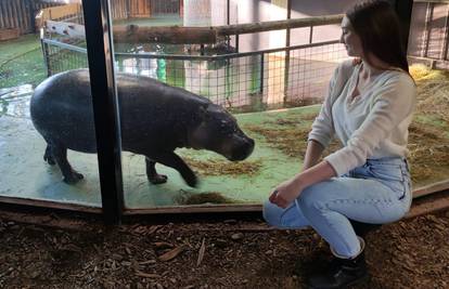 Zagrebački ZOO: Naša nova članica dobila je ime, biralo ga je preko 3000 građana