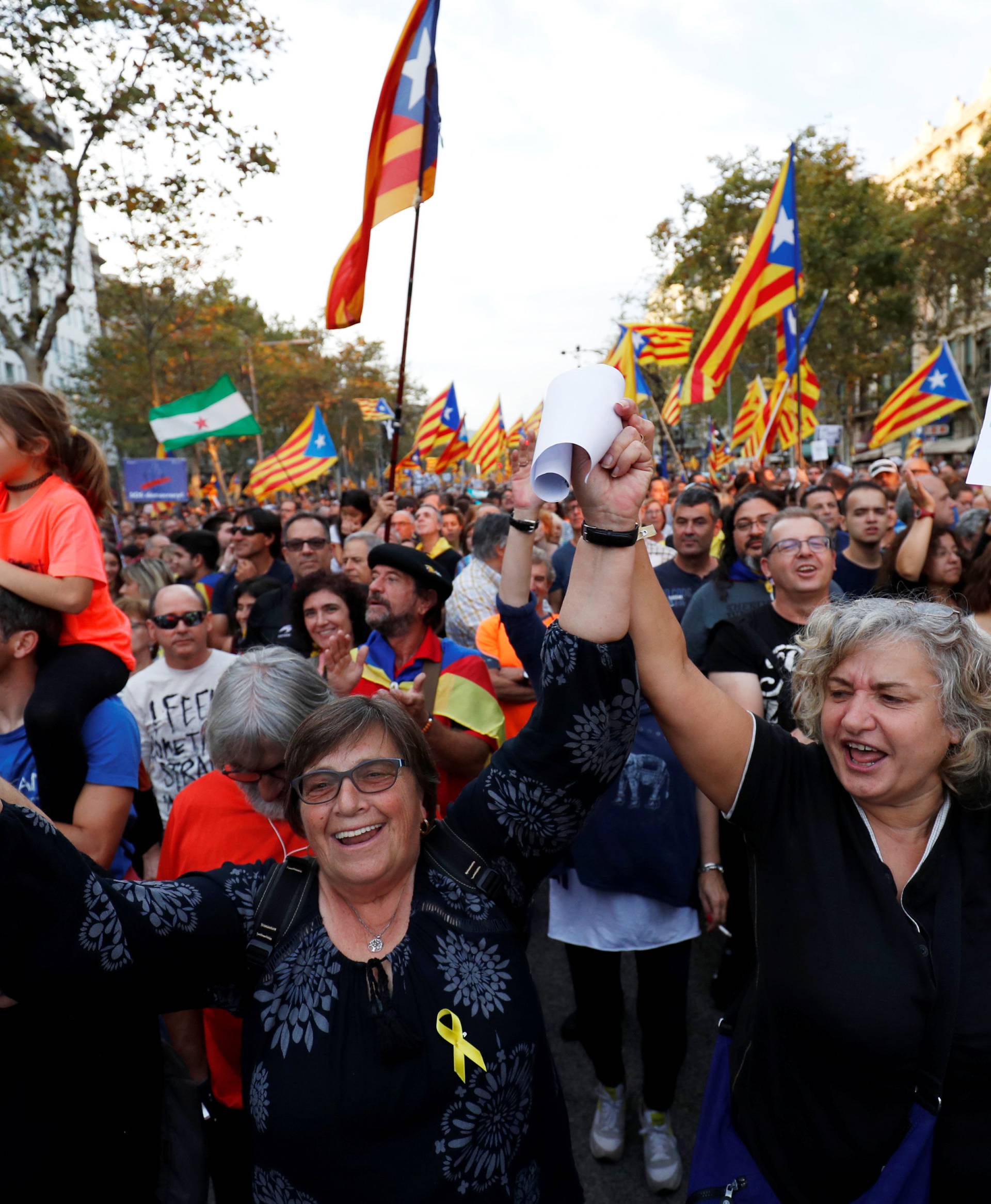 People wave separatist Catalonian flags and placards during a demonstration organised by Catalan pro-independence movements ANC (Catalan National Assembly) and Omnium Cutural, following the imprisonment of their two leaders, in