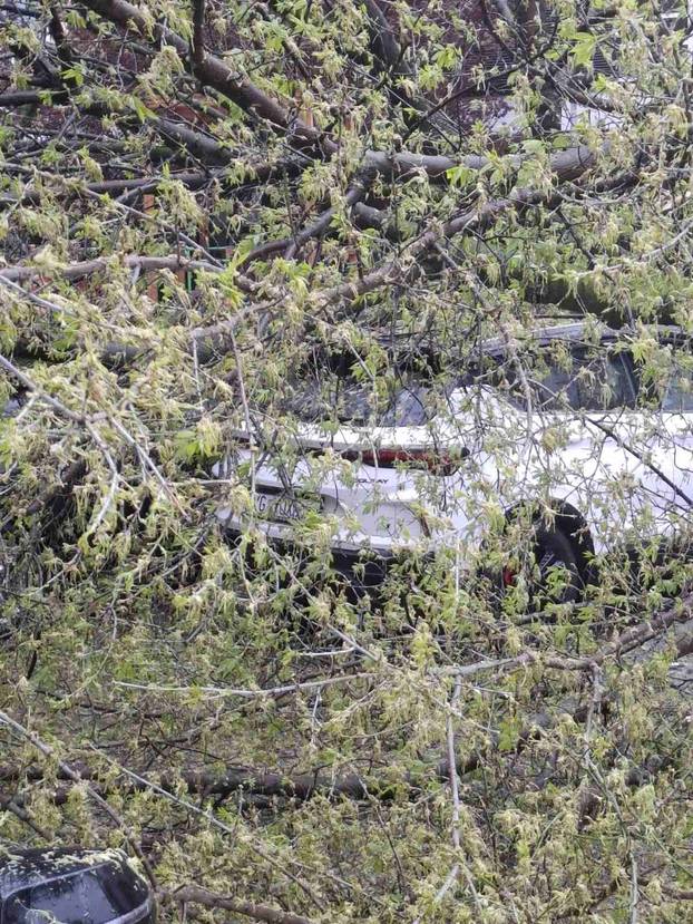FOTO Apokalipsa u Zagrebu: Stabla drobila automobile, izdano novo upozorenje!