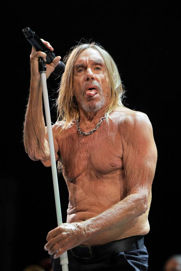 Coachella Valley Music and Arts Festival in Indio