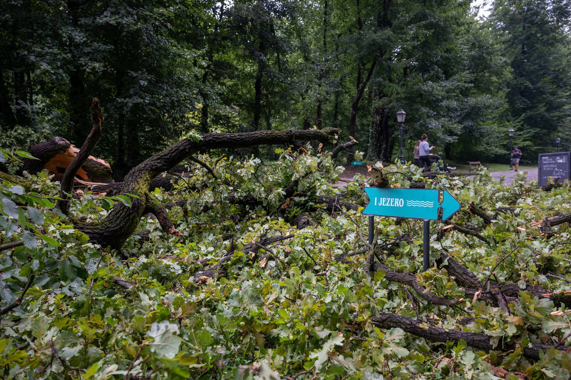 Zagreb: Posljedice noćašnjeg nevremena u parku Maksimir