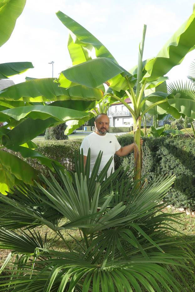 Egzotični vrt Igora Čupića