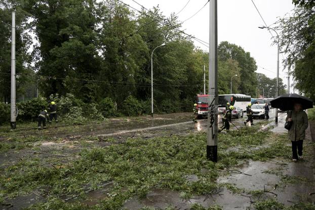 Zagreb: Palo stablo na Maksimirskoj, blokiran promet, vatrogasci na terenu