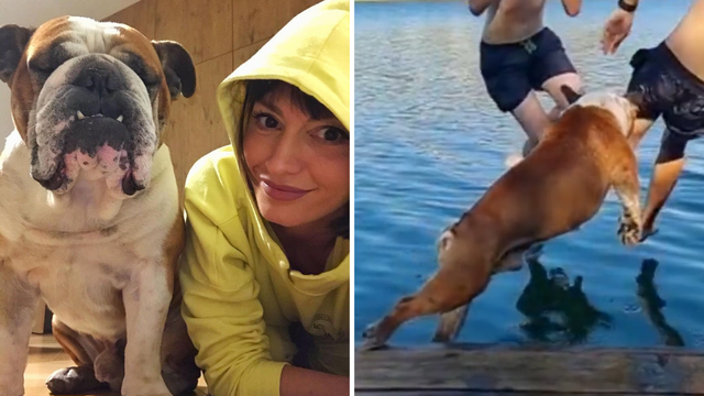 Ivana Paradžiković urnebesnim videom čestitala psu rođendan: 'Opet sam ga morala spašavati'
