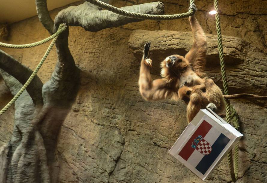 Gibon Kent predvidio pobjedu Hrvatske: Danas nije oklijevao