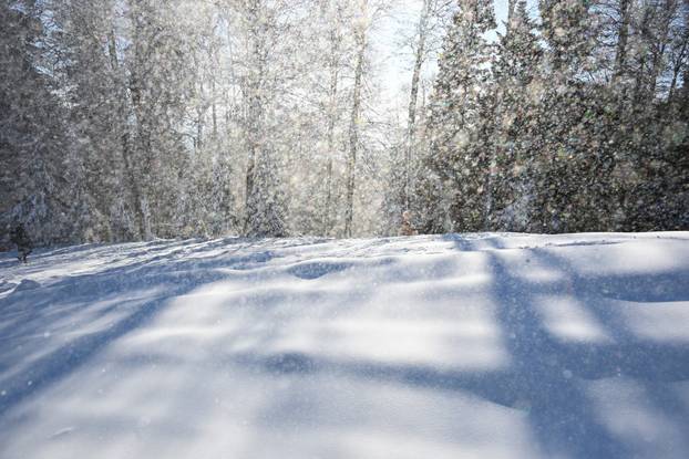 Sunčano novogodišnje jutro na Sljemenu