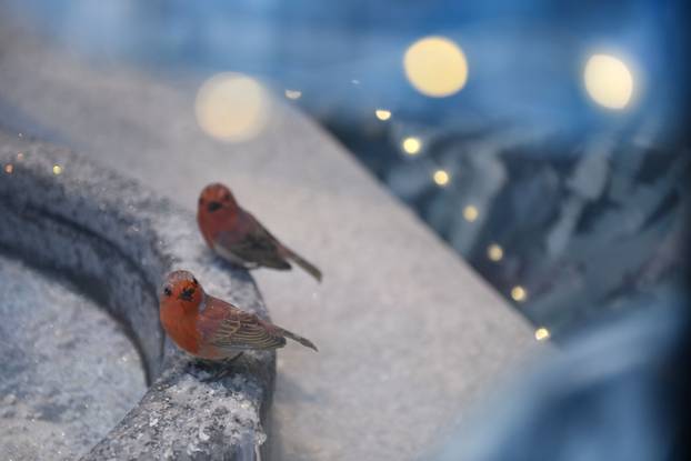 24 SATA Zagreb: Izlog ateljea Saša Šekoranja