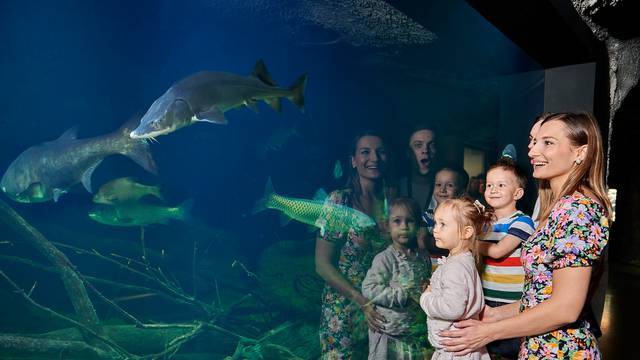 Jedinstveni slatkovodni akvarij Aquatika ovaj vikend slavi sedmi rođendan