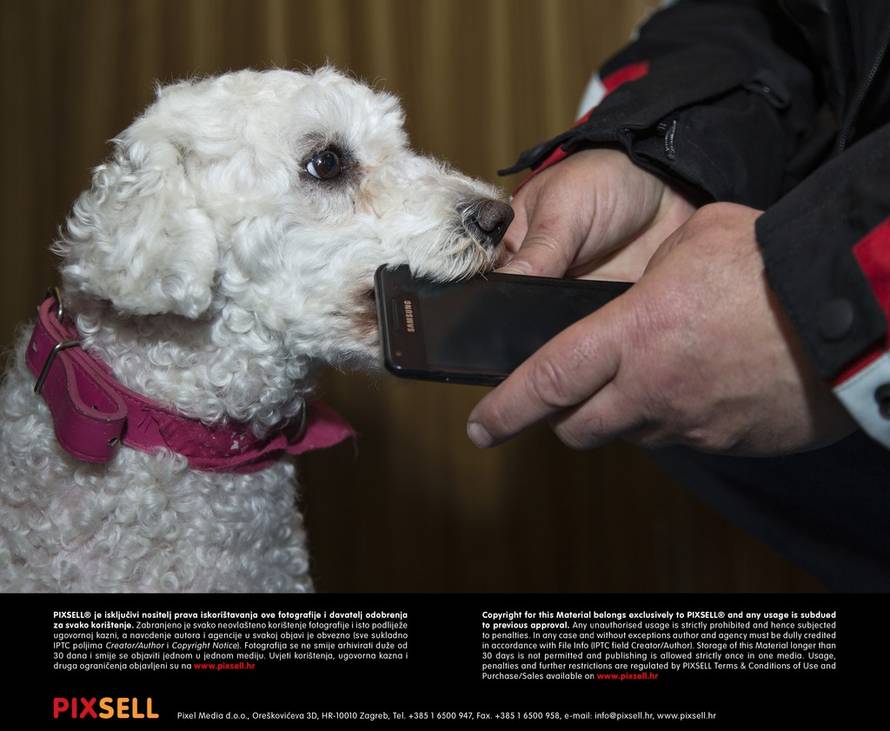 Davor Puklavec/PIXSELL