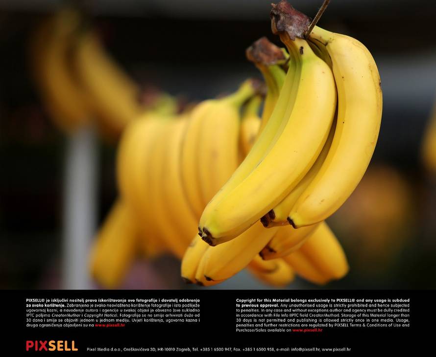 MArko Mrkonjić/Pixsell