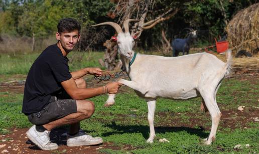 Matteo iz Vodnjana: Moja Jelena je Miss koze Istre 2025.!