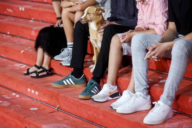 Sarajevo: Prvi crveni tepih treceg dana 31. Sarajevo Film Festivala