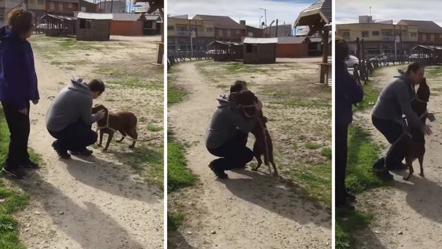 Pas i vlasnik se susreli nakon tri godine
