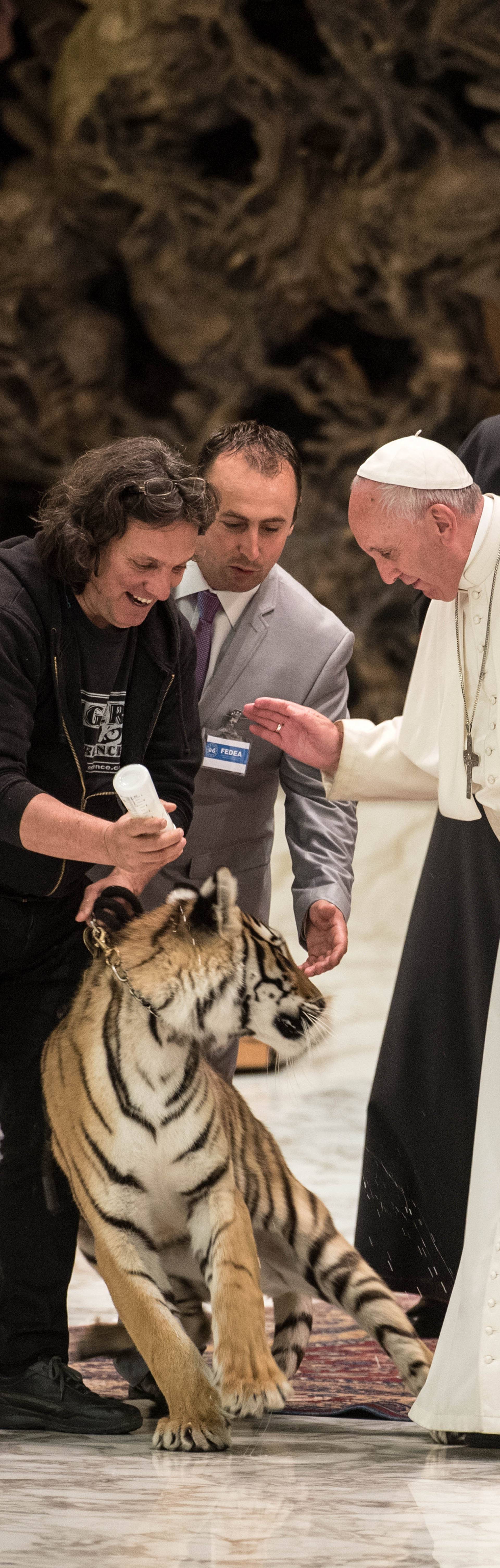 June 16 2016 : Jubilee of the "World of Travelling Shows" at the Vatican.