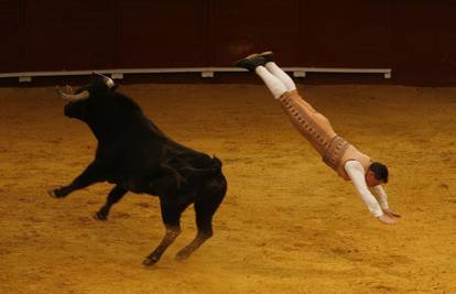 Seville: Počeo je festival s bikovima 'World Bull Fair' 