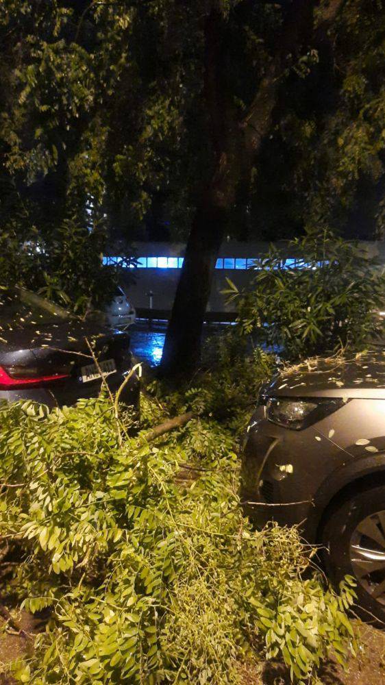 VIDEO Pogledajte oluju u Splitu:  Vjetar čupao stabla, neka pala na aute. Ulice bile  poplavljene!