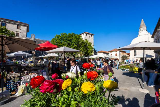 Svetivinčenat: Fešta od Rožic