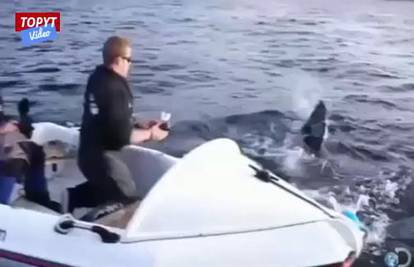 Veliki i agresivni morski psi napali snimateljsku ekipu