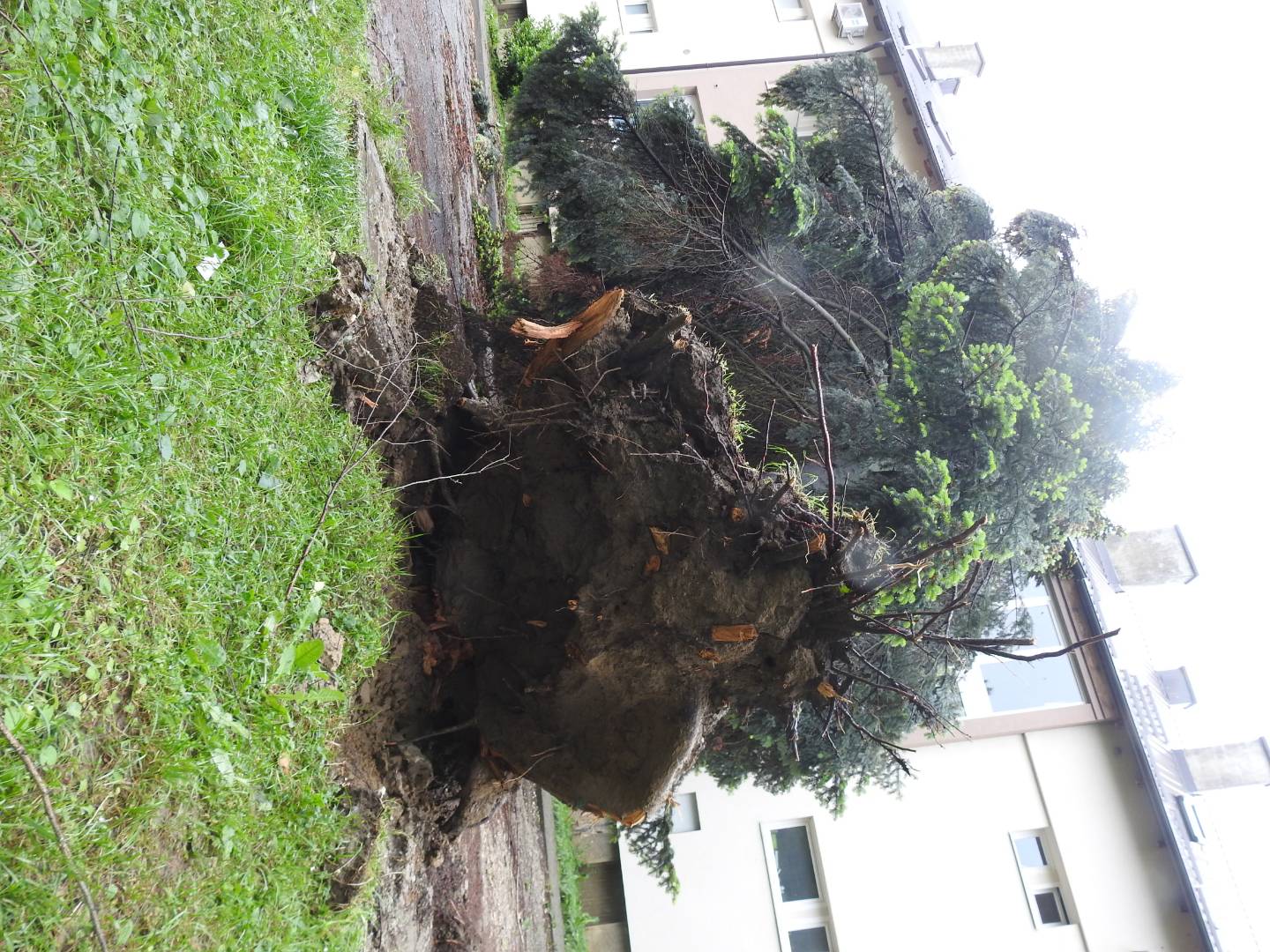 Strašno nevrijeme poharalo i Koprivnicu: Vjetar čupao i lomio stabla, nastala ogromna šteta