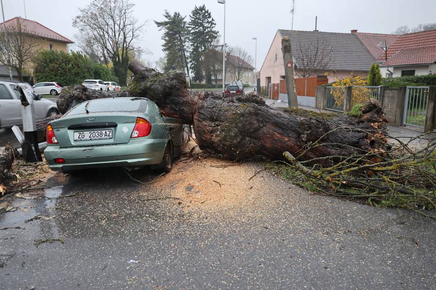 Zagreb: Nevrijeme srušilo stablo koje  je palo na automobil 