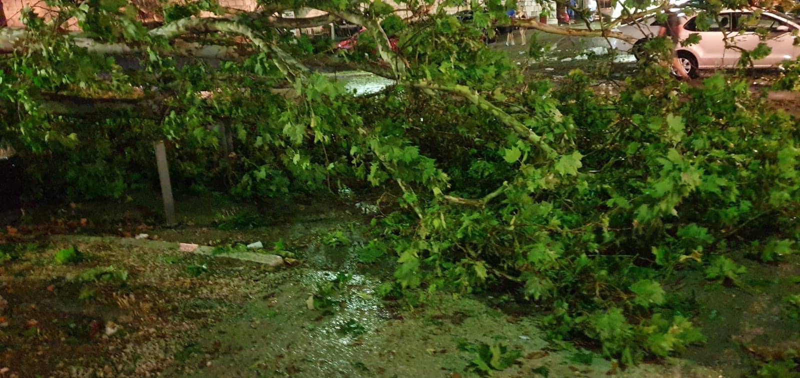 Oluja poharala Zadar: Letjela stabla, nasukalo se 20 brodova