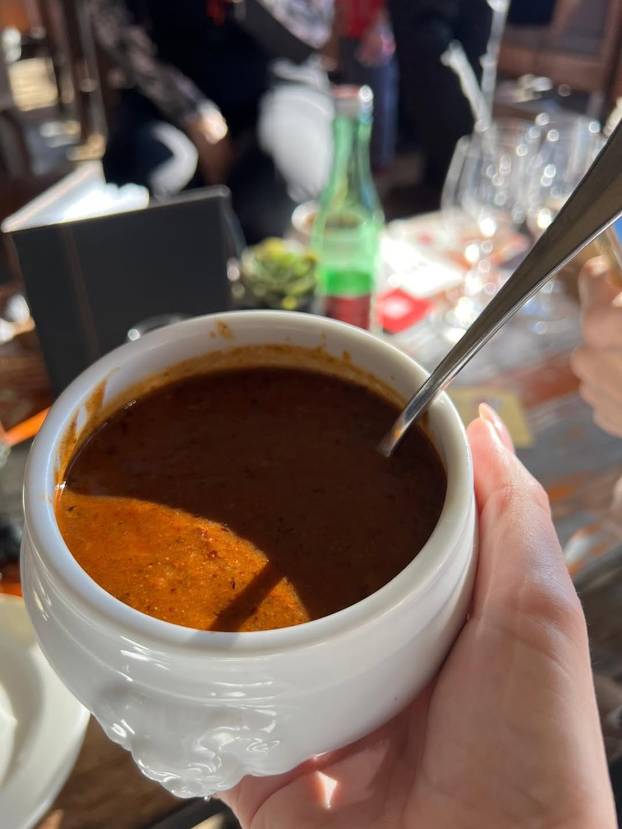 FOTO Skijanje, fina hrana i jako kratka haljinica: Evo kako se Severina provodi u Austriji