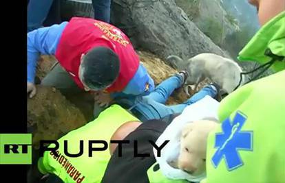 Super mama:  Kujica zakopala štence i spasila ih od smrti