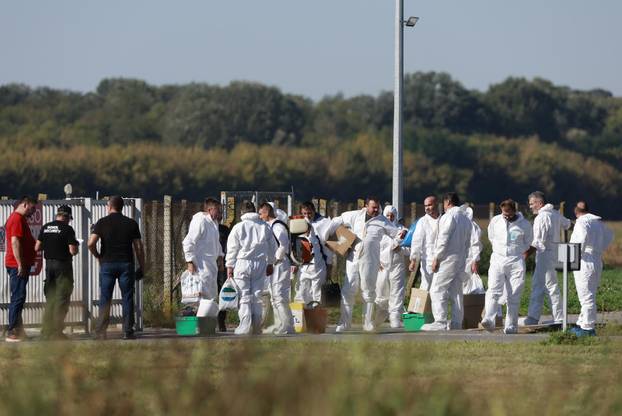 Sokolovac: Kreće eutanazija svinja, uvode se novi sigurnosni protokoli