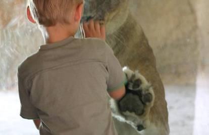 Pogledajte kako je lavica u Zg ZOO vrtu pozdravila dječaka