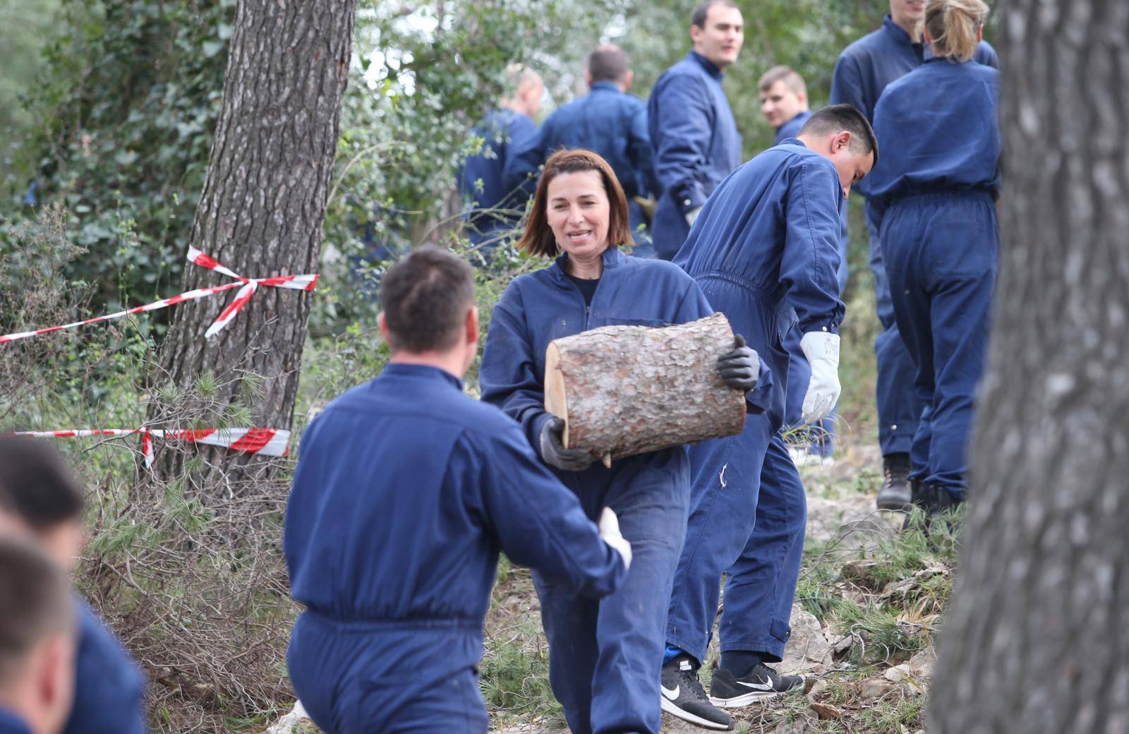 Na Marjanu pomaže i vojska: Vojnici izvlače bolesna stabla