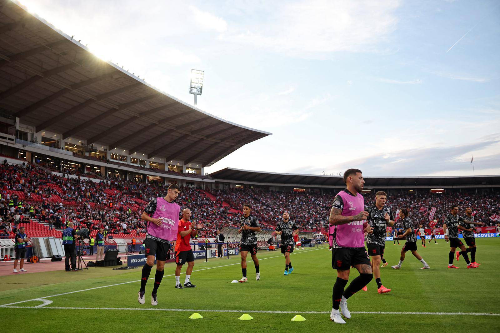 Champions League - Crvena Zvezda v Benfica