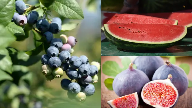 Moćne voćke: 8 fantastičnih za čišćenje organizma - isprobajte!