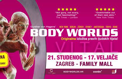 Body Worlds Vital - orginalna izložba ljudskih tijela koja ruši svjetske rekorde posjećenosti