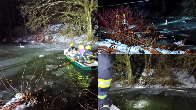 Vatrogasci spasili labuda iz zaleđene rijeke u Brdovcu...