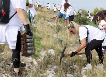 FOTO Više od tristo volontera sudjelovalo u pošumljavanju Grebaštice kod Šibenika