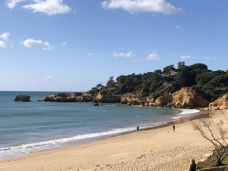 Dobitak priprema: Rastrčani klinci i oporavljeni Velkovski