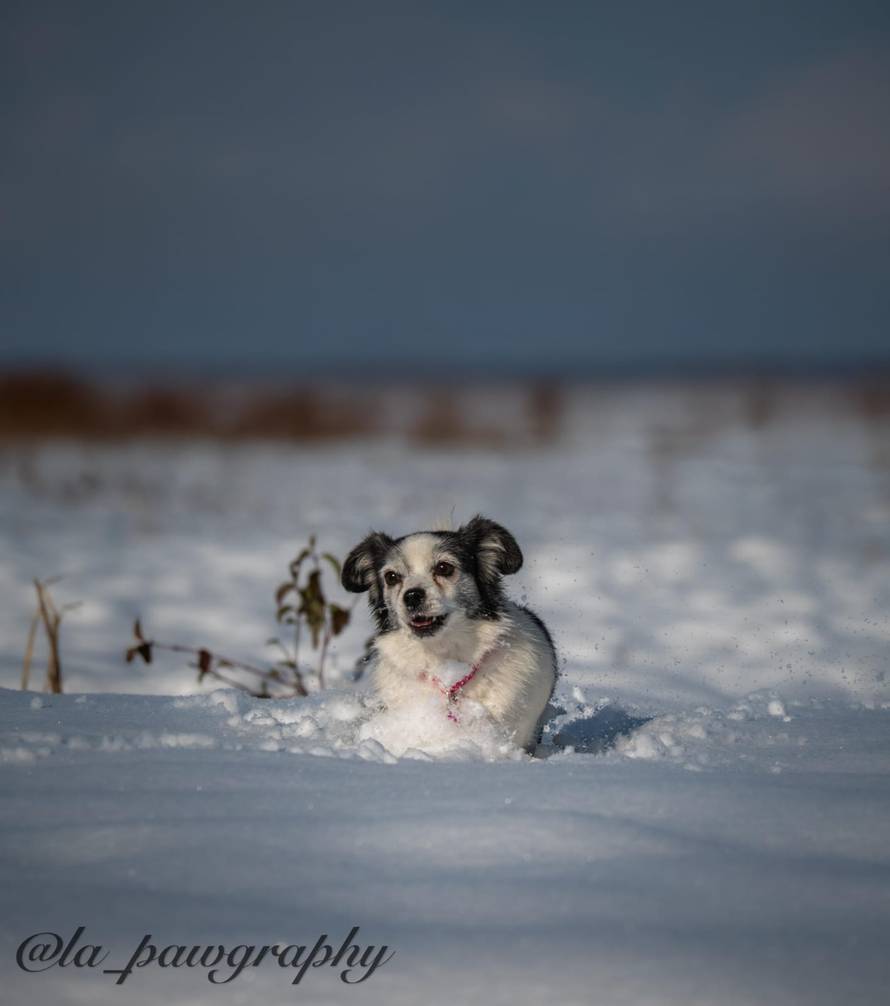 Općinska komunalka sama 'izlopatala' snijeg sa staze: 'Nema nikakve drame u tome'