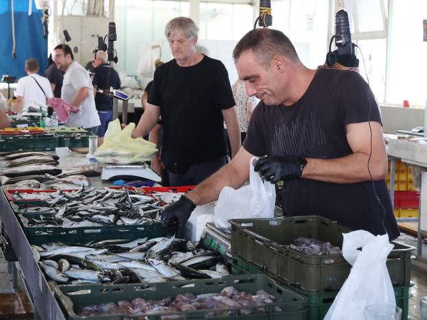 Šibenik: Ponuda ribe na ribarnici