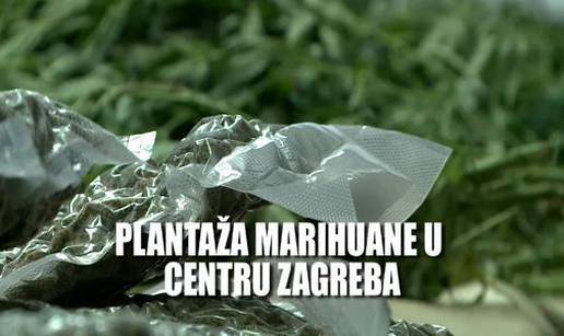 Vodili sofisticiranu plantažu marihuane u centru Zagreba