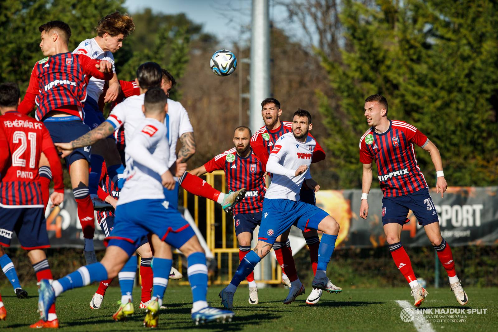 Hajduk