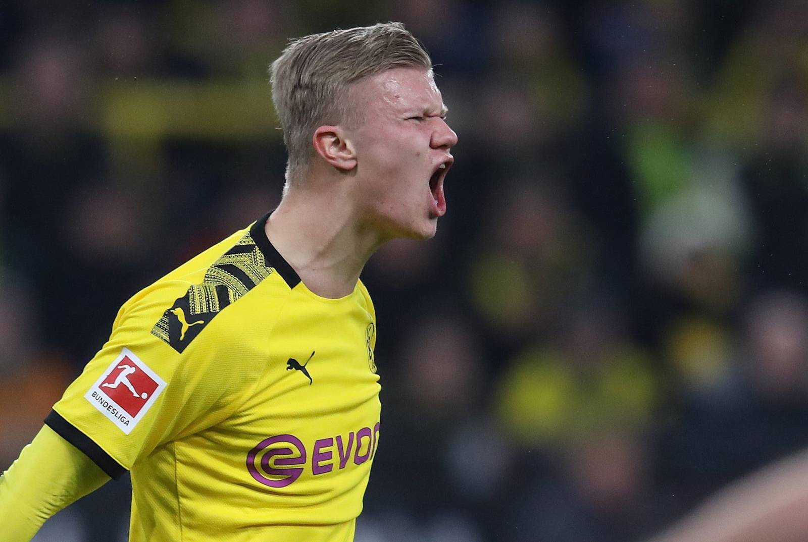 firo: 14.02.2020 Football, 2019/2020 1.Bundesliga: BVB Borussia Dortmund - Eintracht Frankfurt