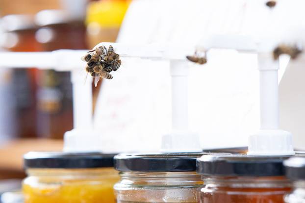 Zagreb: Manifestacija "100% Zagorsko" na Europskom trgu