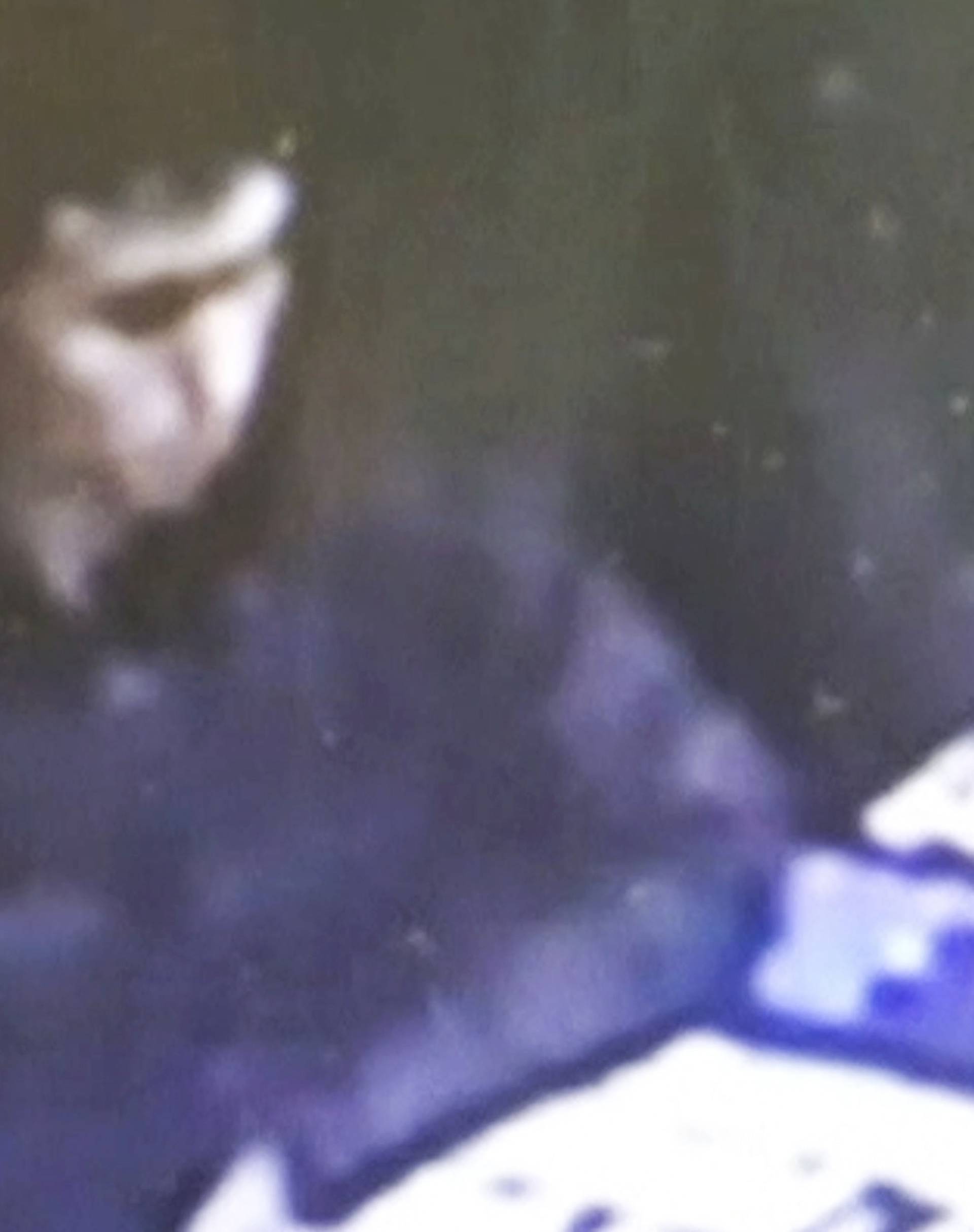 A Turkish police handout of a suspect in Istanbul nightclub attack 