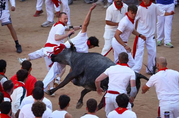 A reveller is tossed by a wild cow at the bullring