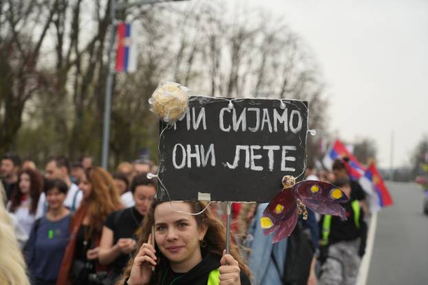 Beograd: Studenti Fakulteta likovnih umjetnosti i Fakulteta političkih znanosti izradili su Trojanskog konja 