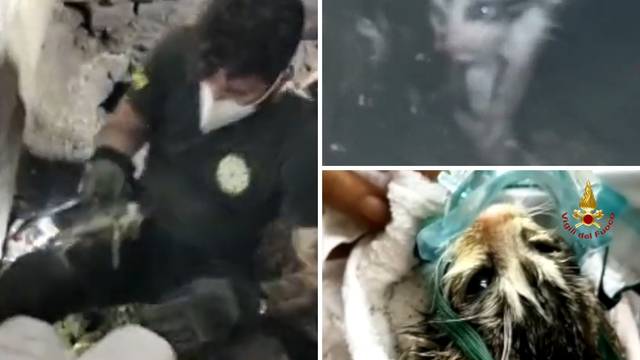 POGLEDAJTE VIDEO: Vatrogasci su devet sati spašavali mačića zarobljenog u cijevima...