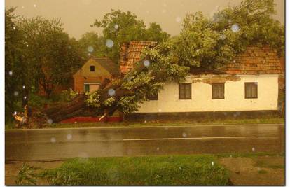 Okučani: Oluja nosila krovove i lomila drveće