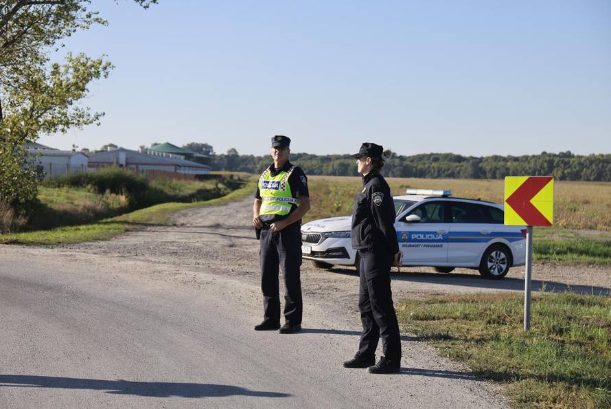 Sokolovac: Kreće eutanazija svinja, uvode se novi sigurnosni protokoli