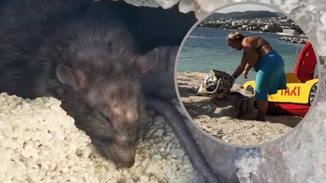 VIDEO Šok na plaži u Selcu: Štakor ugrizao ženu za nogu